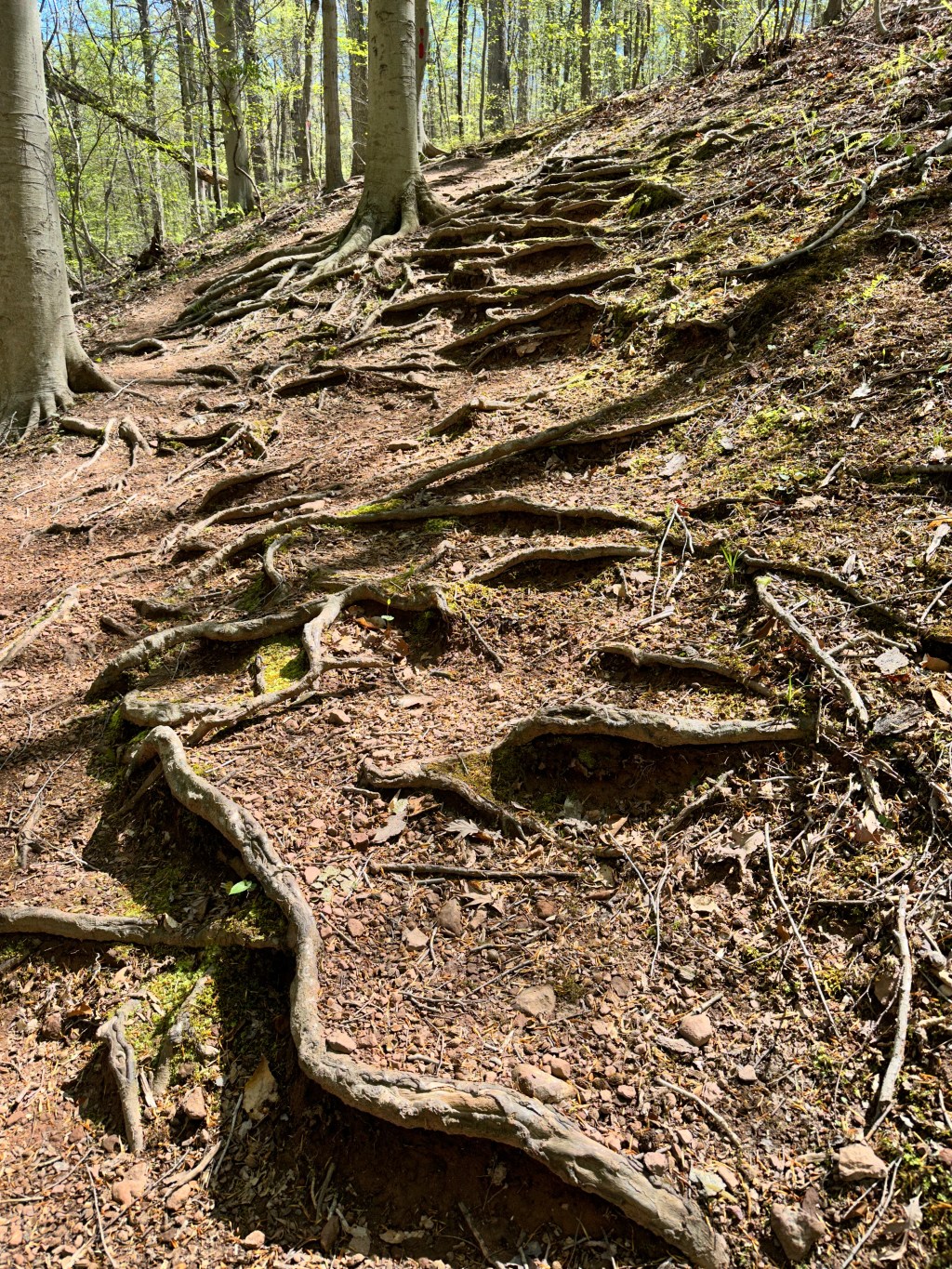 B2B Marketing Campaigns: Choosing the Right Path for Success